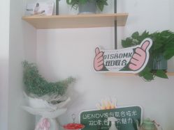 点击看大图 -WENDY·温迪皮肤管理