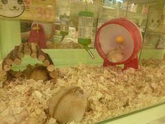 -龙猫仔乐园(惠福东路店)