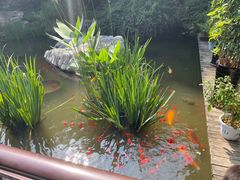 -聚缘堂·海鲜私房菜(松岭路店)