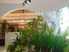 -春树下·树屋花房西餐厅(罍街AS1980店)