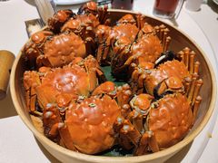成隆行精选大闸蟹-成隆行·蟹王府(九江路店)
