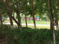 -长白岛森林公园