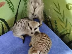 -广州长隆野生动物世界