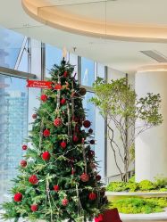 -深圳芙必优医疗美容·抗衰中心