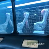 海底捞智慧餐厅