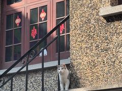 -思南书局(复兴中路店)