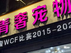 -青奢宠物·青奢猫舍