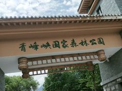 -青峰峡国家森林公园