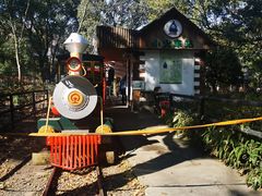 -上海共青森林公园