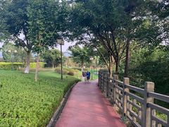 -铁山坪森林公园