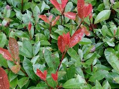 -贵阳市花溪国家城市湿地公园