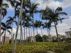 -宝安西湾红树林湿地公园