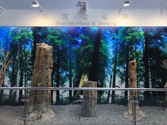 -延庆地质公园博物馆