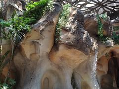 -杭州开元森泊度假乐园