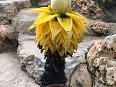 -南通洲际绿博园