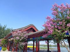 -济南大明湖景区