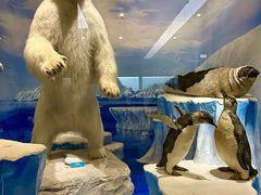 -国家自然博物馆