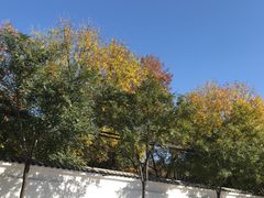 -青年公社烤鸭(青年路店)