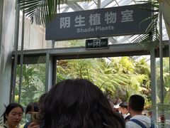 -北京植物园-展览温室