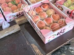 -南汇水蜜桃采摘(大团店)