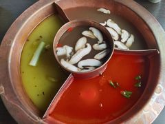 菌王奇香锅-滇釜火锅·能喝汤的火锅(车公庄店)