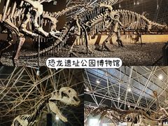 -世界恐龙谷景区