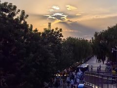 -伊犁河景区