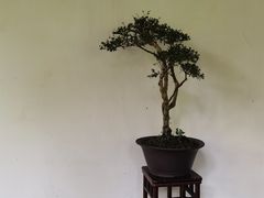 -成都杜甫草堂博物馆