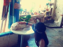 -Babycat私家御饼屋(龙头路一店)