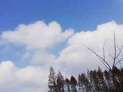 -上海财经大学(国定路校区)