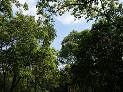 -长广溪湿地公园