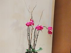 -丽晶轩中餐厅(重庆丽晶酒店)