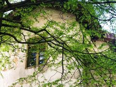 -山王坪喀斯特国家生态公园