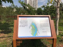 -金鸡岭桥头公园