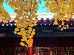 -承恩寺
