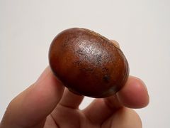 栗子-栗满秋(燕丰西坝河店)