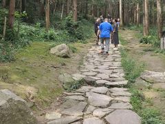 -冶父山国家森林公园