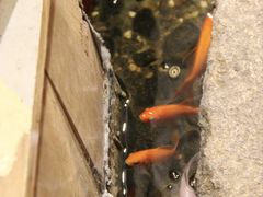 -邈墨茶馆(凤起路店)