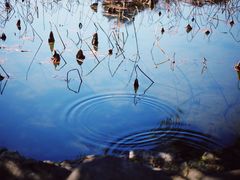 -苏堤停车场