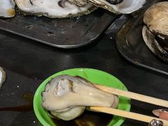 -八一湛江生蚝(文明东路总店)