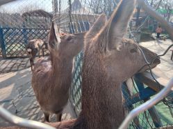 -萌宠亲子动物乐园(槐房万达店)