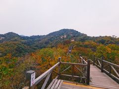 -大岭沟猕猴桃谷风景区