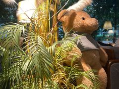 -咖法森林·咖啡  酒吧(天河店)