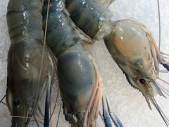 -盒马鲜生(财富领域店)