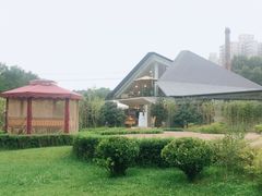 -唐城墙遗址公园