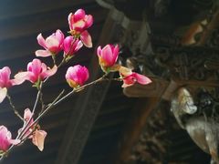 -花溪公园