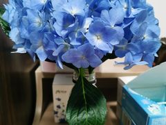 -盒马鲜生(岭南新世界店)