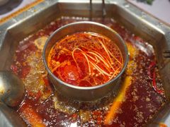 -蜀九香火锅(九眼桥店)
