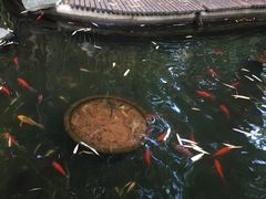 -新竹里馆·花园餐厅(兴苑路店)