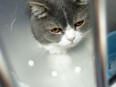 -北京恒爱动物医院(清景园分院)